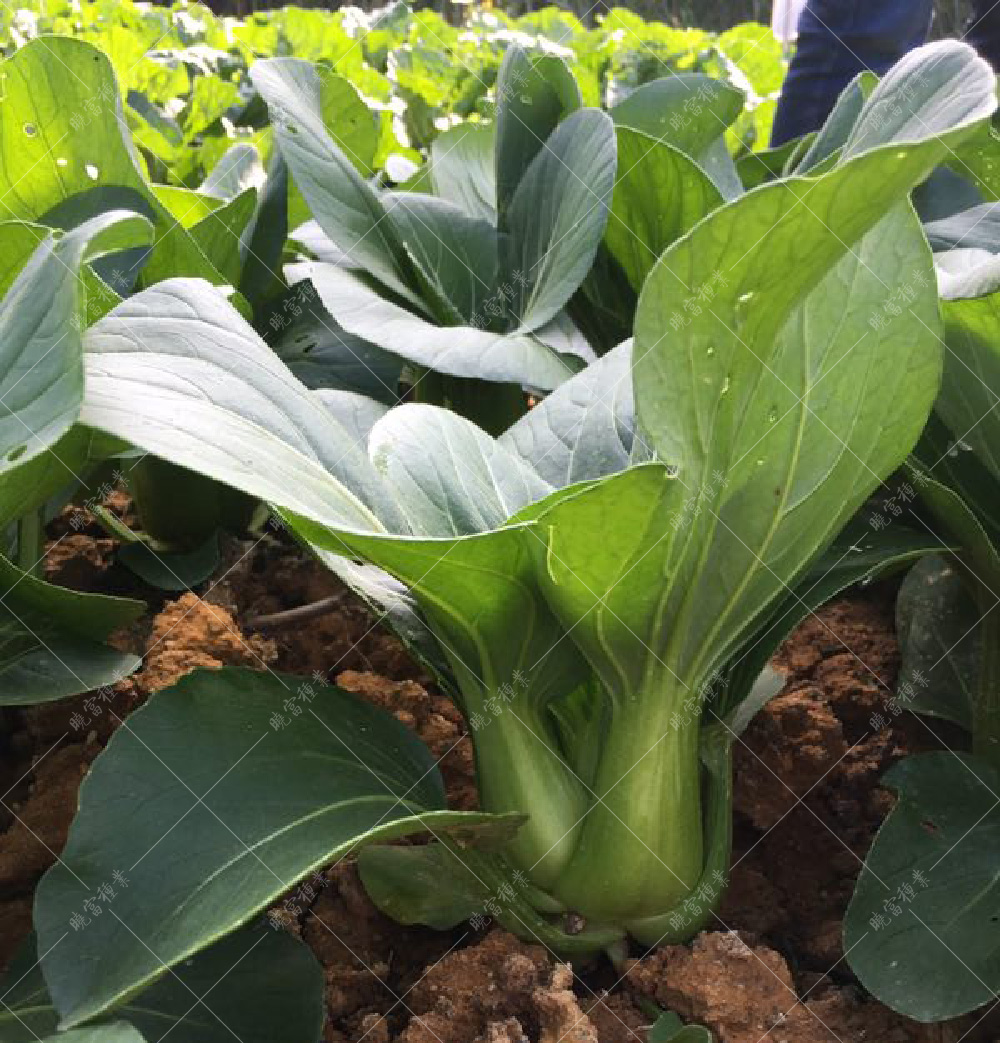 1557820873758389.jpg 微信圖片_20171113170207.jpg