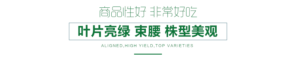 1557882885224350.jpg 詳情頁(yè)12.jpg