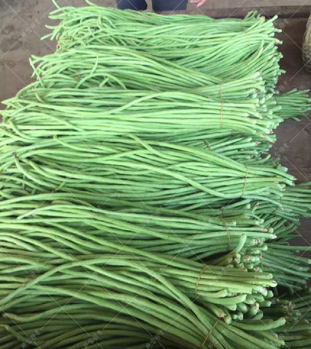 1558057511305994.jpg 52.jpg