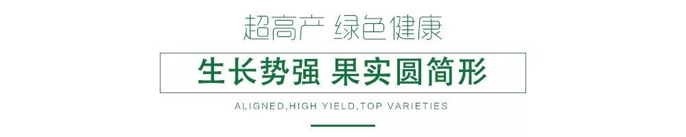 1585992708305350.jpg 07.jpg