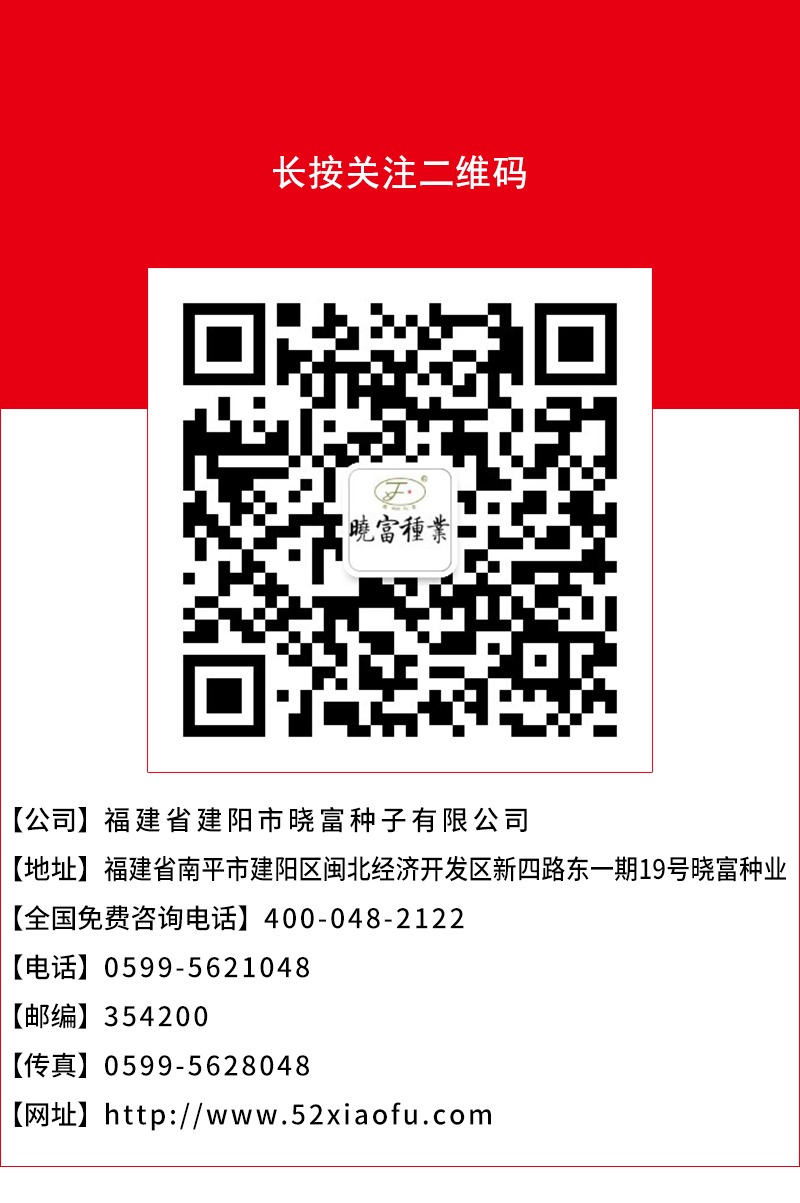 1600503987928191.jpg 頁(yè)底.jpg