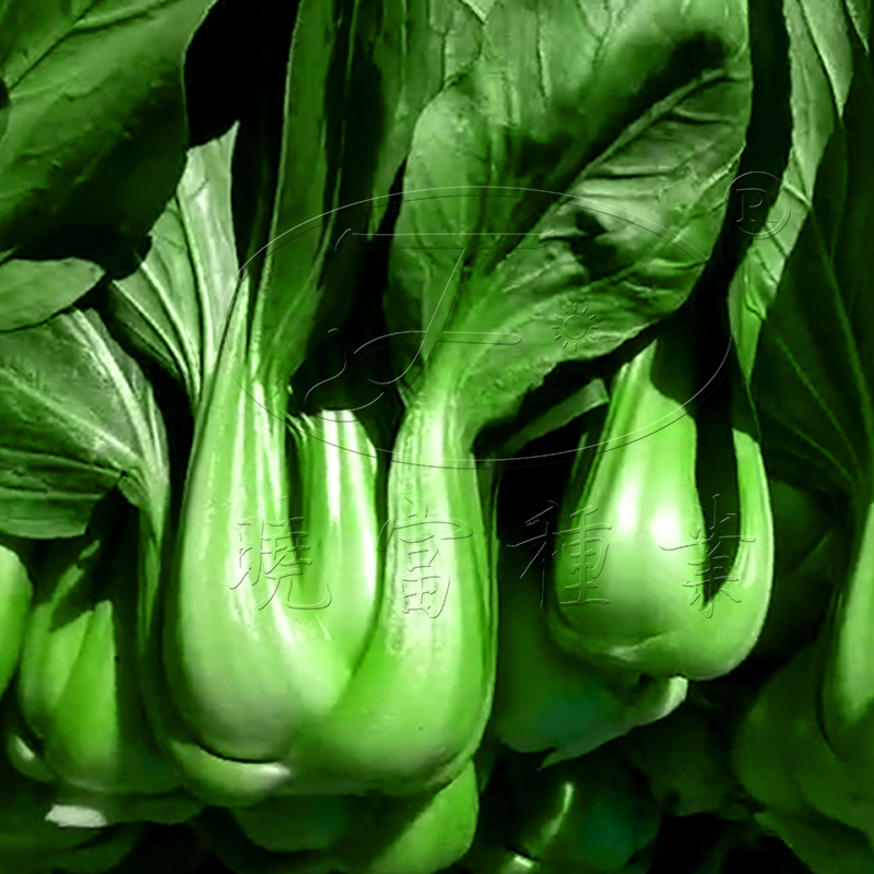 1602151190971703.jpg 04.jpg